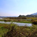 우리손 예산농장 이미지