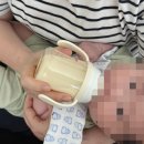 [내돈내산] 그린핑거 베베그로우 젖병 핸들 후기 및 타사 젖병 호환성 총정리