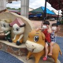 완주 한우 직판장 이미지