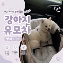 주식회사하얀 | 코지코너 프리미엄 강아지유모차 방석+가드 세트 자석탈부착 편함 내돈내산 후기