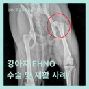 상동물병원 이미지