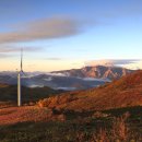 월출목장 이미지