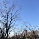 11260-2-32-5 | 2026 다비치 콘서트 게스트 티켓 예매 가격 KSPO돔 2층 32구역 5열 좌석 시야 후기