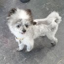 노아동물병원 이미지