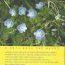 건강과약초 이미지