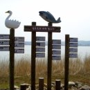 바다(家) 이미지