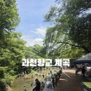 향교식당 - 진도군 | 경기 과천 무료로 물놀이하기 좋은 과천 향교 계곡, 돌담집닭백숙 식당 방문 후기🥽