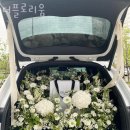 플로리움 이미지