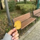 우성상가 | 안양 박달동 빛 네일 손톱 열 손 연장 후 기본 젤 네일 추천 네일숍