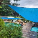 도그파파 | 화가나서 쓰는 글, 가평 땡큐도그펜션 애견펜션? 3시간만에 귀가엔딩