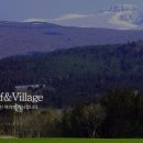 타미우스 컨트리클럽 이미지