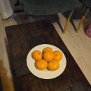 다빈하우스 | 제주도 태교여행 - 서귀포 감성 숙소 다빈하우스