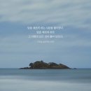 반땅 이미지