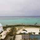 바닷속고기왕국 | 바다가 아름다운 슬픈 오키나와