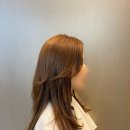 모앤쿠헤어