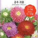 공주과일