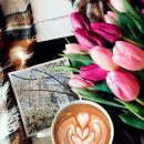 겔러리아 이미지