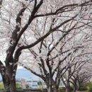 홍가네 갈비탕 이미지