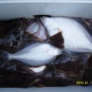 해오름호 이미지