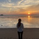 매향리 평화생태공원 이미지