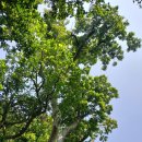 망망대해의 끝 외연도 에서... 이미지