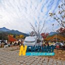 도림사오토캠핑리조트 이미지