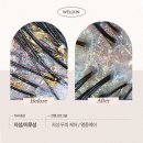 웰킨제주점 이미지