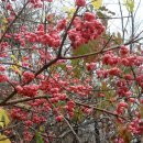 공원관리사무소 이미지