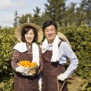 전국민박 이미지