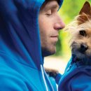 강아지는내친구 이미지