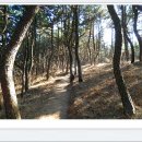 강동해수온천 이미지