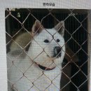대산실업 Daum카페