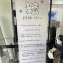 동반상승 | 원주애견카페 몽몽정원 넓은 야외잔디운동장 있는 애견동반카페 다녀온 후기