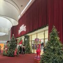 pet11어5794 | 서면 타코 맛집/보드게임/체인소맨:레제편 4D 후기 7주차 특전/11월 7일 금