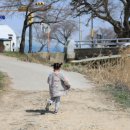 은석초등학교 병설유치원 이미지