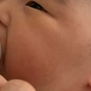 팔이합성 | 환절기 아기로션 맘 가이드 추천 실사용 후기 2탄