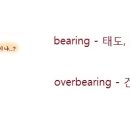 [만화로 즐기는 이정훈 박사의 하천암비] 2. bearing/ overbearing 편. 이미지
