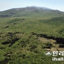 한라산특산품