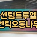 박앤티크 이미지