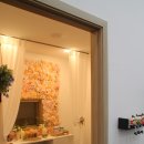 선산동물병원 이미지