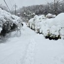 만길농장 이미지