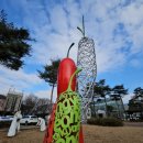 선바위가든 이미지