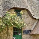 딜리동물병원 이미지