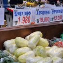 소나무마트 이미지