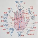 고려수지침 칠곡지회 | (3탄)가슴쪼임증상치료3/자가치료/수지침