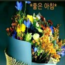 화요일 이미지
