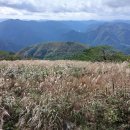 발구덕중간 이미지