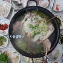 [임실 운암 맛집] 강나루횟집