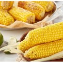 모단농장 이미지