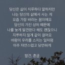 중국원양자원,우리종금,한국전자홀딩스,젬백스,선도전기,일신석재,sh에너지화학,kr모터스,kgp,화승알앤에이,소프트센,신일산업,휴메딕스,아비스타,아이티센 이미지